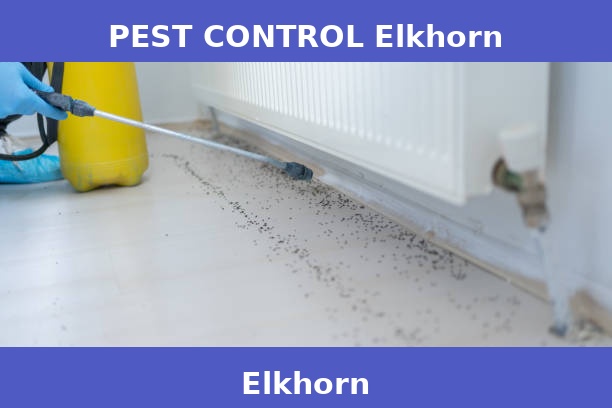 PEST CONTROL Elkhorn